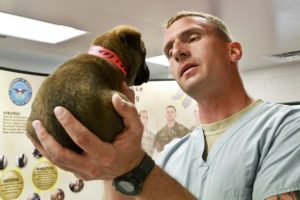 Baselines help monitor your pet's health.