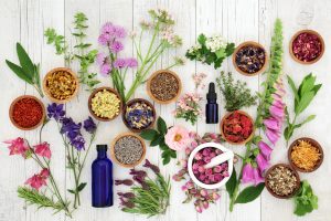 Herbs can Heal And Protect Dry Winter Skin in Horses