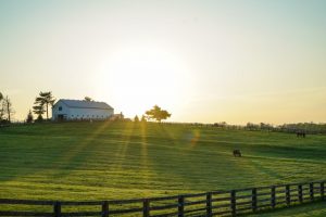 Shedding by Your Horse is Due to Extended Spring Daylight Hours