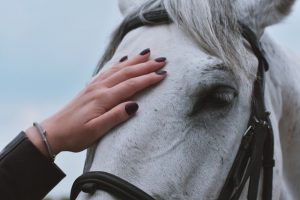 Woman Petting Horse's Head