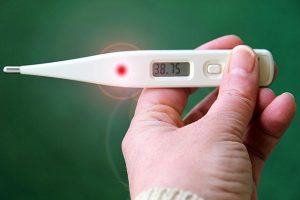 Digital thermometers show if your pet's temperature is normal