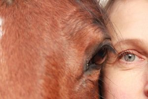 A Horse and Woman's Face Next to Each Other