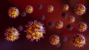 Coronavirus or COVID-19