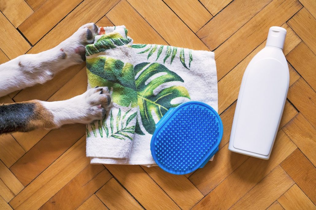 Shampoo, towel and brush laying on a wood floor next to dog paws