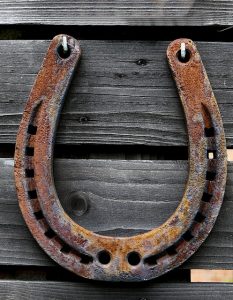 Should You Shoe your horse? Hanging Horseshoe