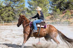 A Horse that wears shoes has better performance Rodeo Horse Doing Barrels
