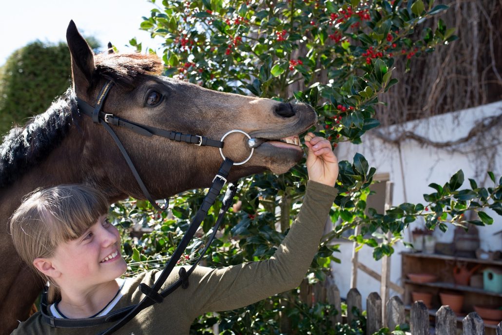 Smiling Woman Offering a Treat to a Horse