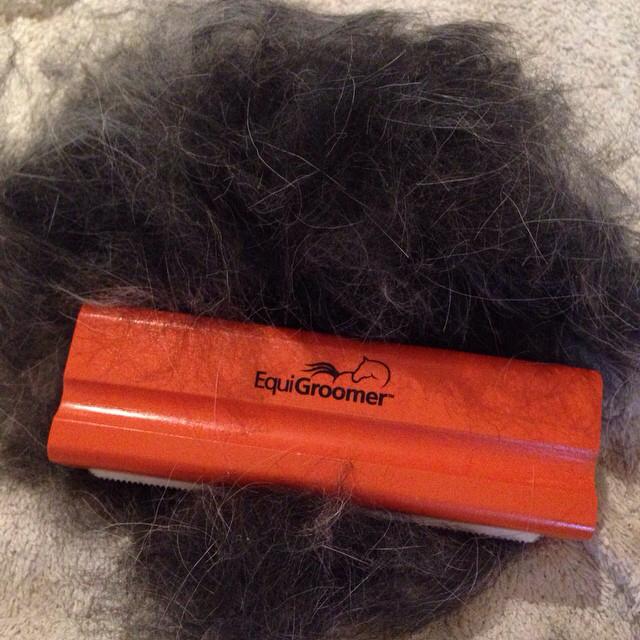 The EquiGroomer Tool is Effective against Matting!