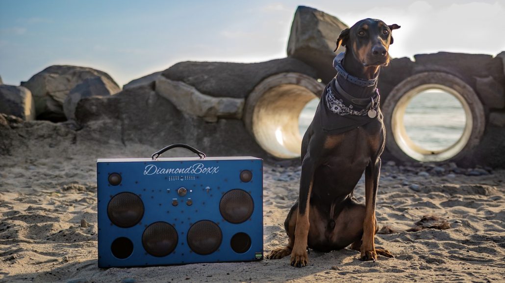 A large Doberman dog sitting on the sand at the beach next to a large boom box