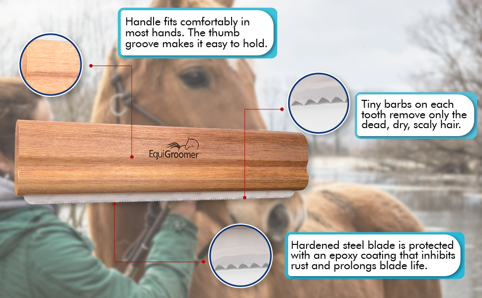 The EquiGroomer Grooming Tool