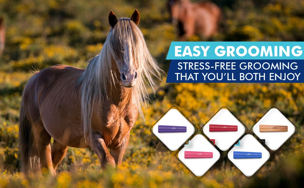Chestnut Horse in an Open Field featuring the EquiGroomer Tools