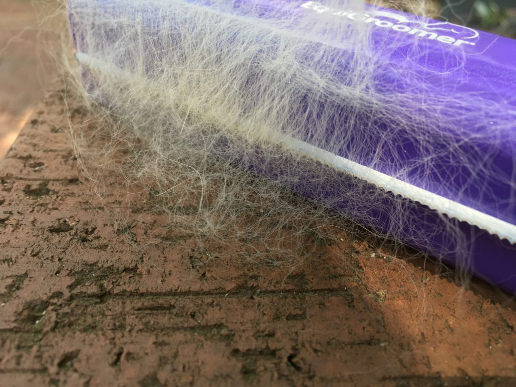 A Purple EquiGroomer after Brushing a Cat