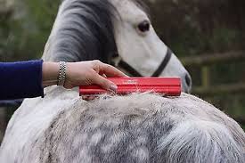 Woman brushing a gray and white horse with an red EquiGroomer Tool