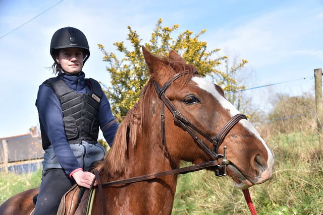 Woman Rider Shortening the Reins on a Brown Horse