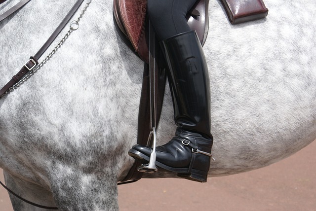 Closeup of an English rider's foot in the stirrup with the heel down