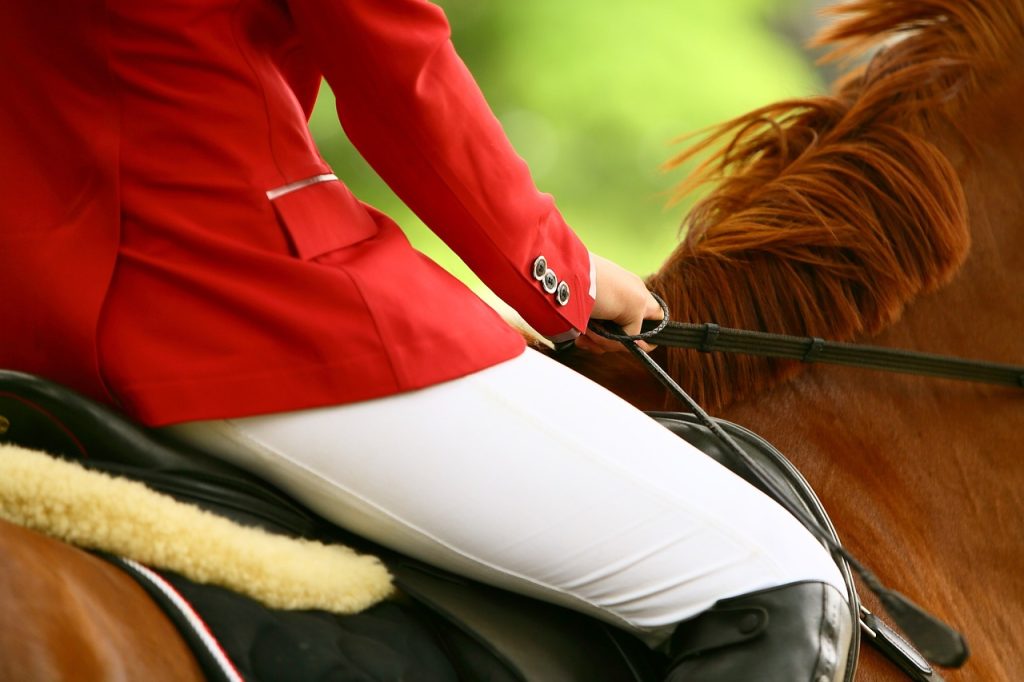 Close-up shot of a rider holding the reins
