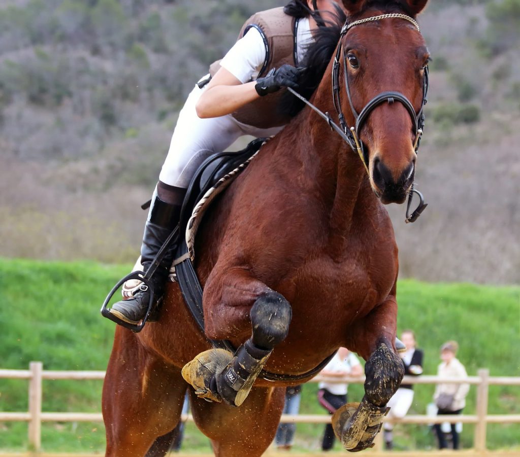 Horse and rider going over a jump outside