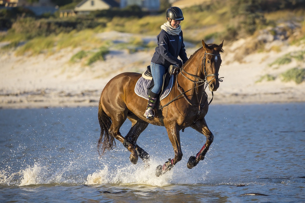 Rider and Horse Running through Shallow Water
