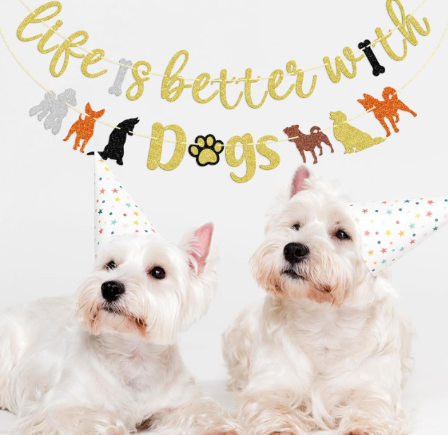 Close-up of 2 Westie puppies wearing hats and a banner overhead