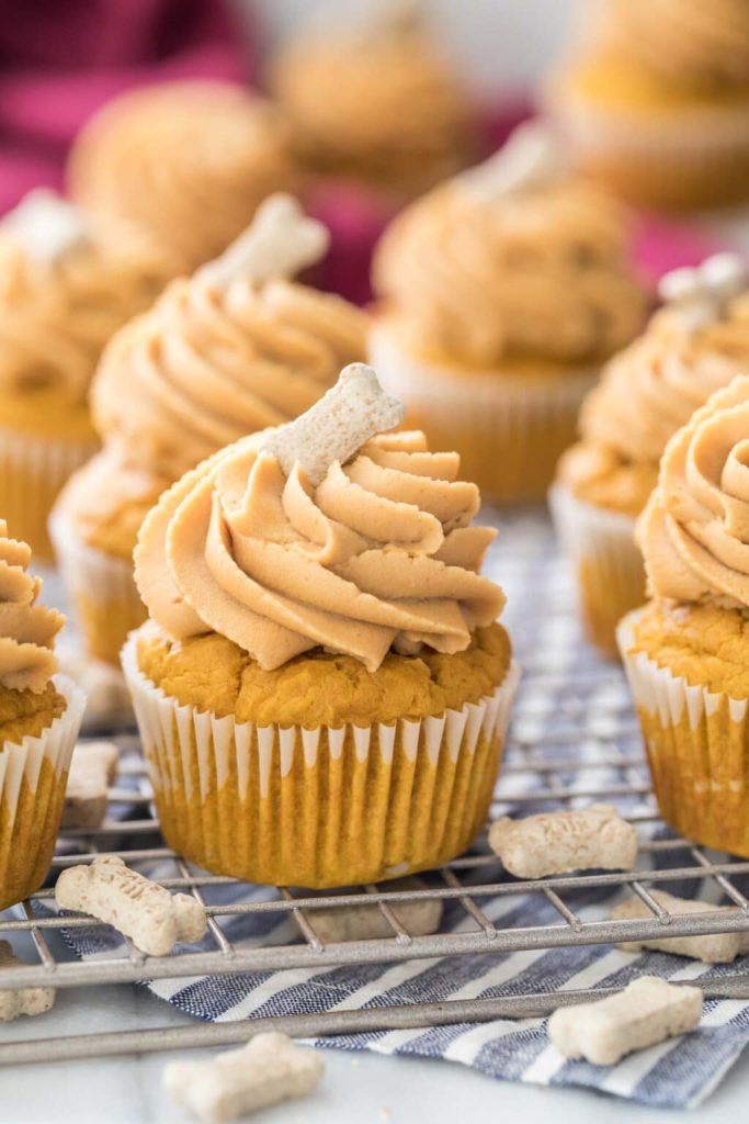 Close-up image of cupcakes for puppies with frosting and a small dog bone