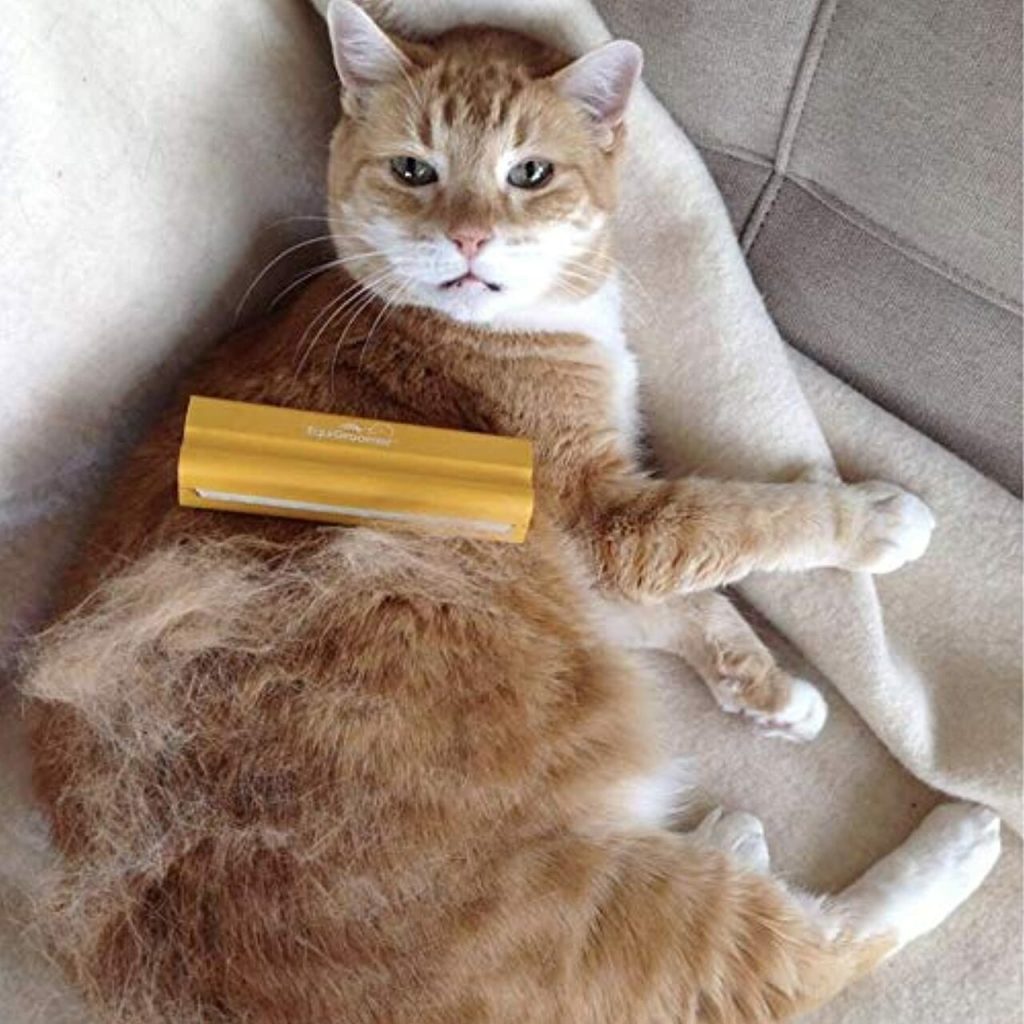 An orange and white cat laying on a couch being brushed with an EasyGroomer tool