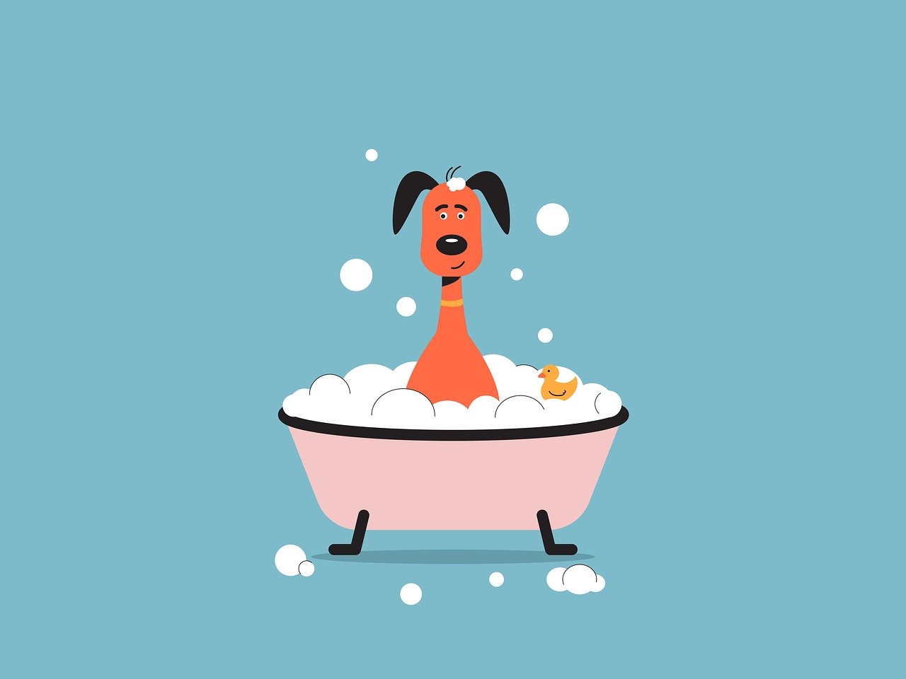 Cartoon showing a dog in the bathtub with bubbles and a yellow ducky